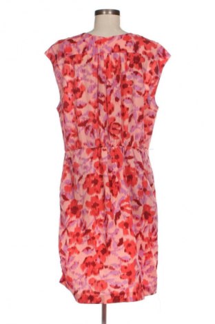 Kleid Joe Fresh, Größe XL, Farbe Mehrfarbig, Preis € 20,99