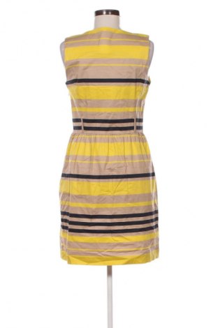 Kleid Mexx, Größe M, Farbe Mehrfarbig, Preis 33,99 €