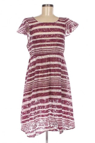 Φόρεμα Mint & Berry, Μέγεθος L, Χρώμα Πολύχρωμο, Τιμή 28,54 €