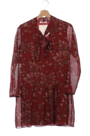 Φόρεμα NEW COLLECTION, Μέγεθος XS, Χρώμα Πολύχρωμο, Τιμή 28,99 €