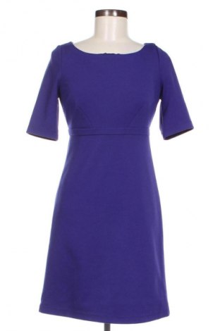Kleid Oasis, Größe S, Farbe Lila, Preis € 24,48