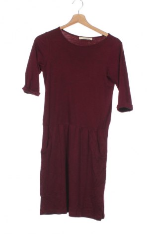 Kleid Sessun, Größe XS, Farbe Rot, Preis 89,99 €