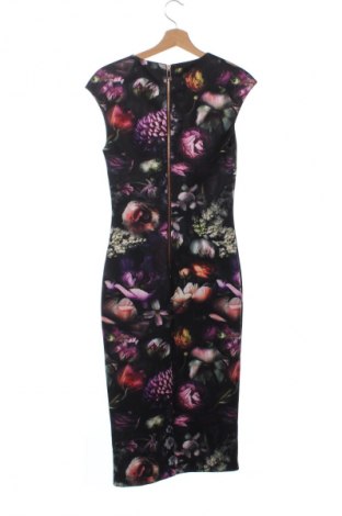 Kleid Ted Baker, Größe XS, Farbe Mehrfarbig, Preis € 80,31