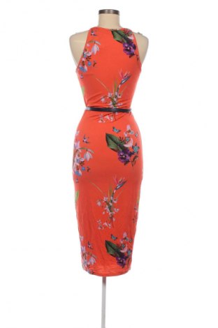 Φόρεμα Ted Baker, Μέγεθος M, Χρώμα Πολύχρωμο, Τιμή 91,00 €