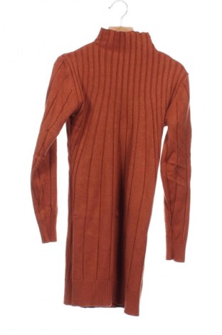 Kleid Unbranded, Größe XS, Farbe Braun, Preis 14,84 €