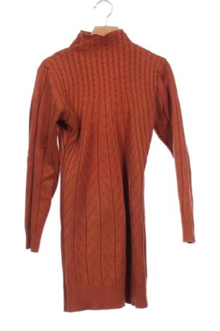 Kleid Unbranded, Größe XS, Farbe Braun, Preis 14,84 €