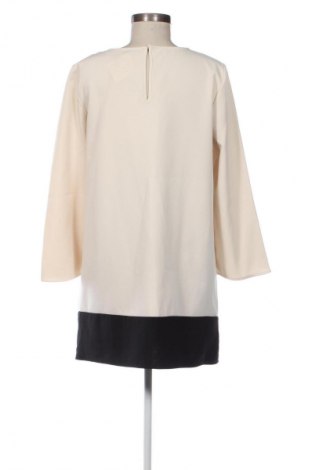 Kleid Zara, Größe S, Farbe Mehrfarbig, Preis 13,84 €