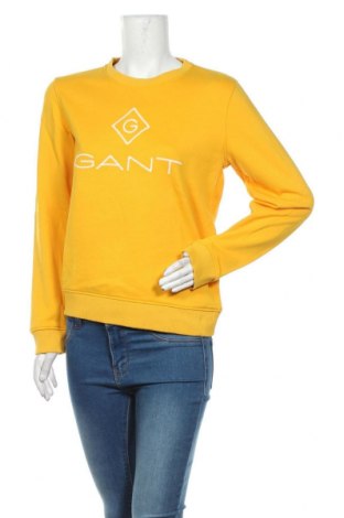 Μπλούζα εγκυμοσύνης Gant, Μέγεθος M, Χρώμα Κίτρινο, Τιμή 40,82 €