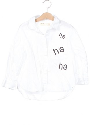 Детска риза Zara Kids, Размер 5-6y/ 116-122 см, Цвят Бял, Цена 23,40 лв.