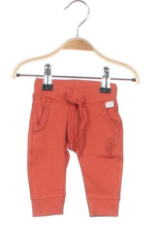 Kinderhose Noppies, Größe 2-3m/ 56-62 cm, Farbe Orange, 95% Baumwolle, 5% Elastan, Preis 8,04 €