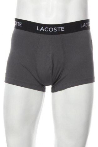Мъжки комплект Lacoste, Размер L, Цвят Сив, 95% памук, 5% еластан, Цена 70,76 лв.