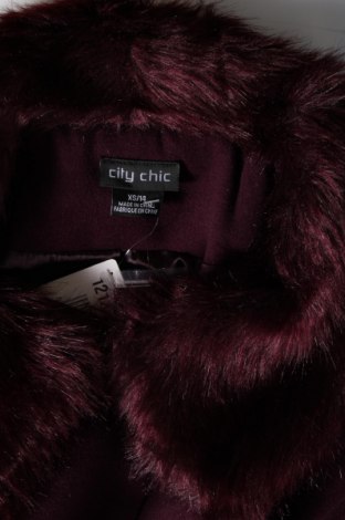 Γυναικείο παλτό City Chic, Μέγεθος XS, Χρώμα Βιολετί, Τιμή 62,89 €