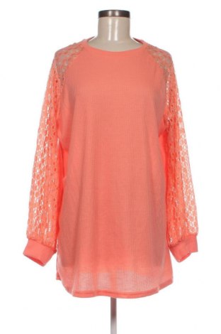 Γυναικεία μπλούζα, Μέγεθος XL, Χρώμα Πορτοκαλί, Τιμή 4,23 €