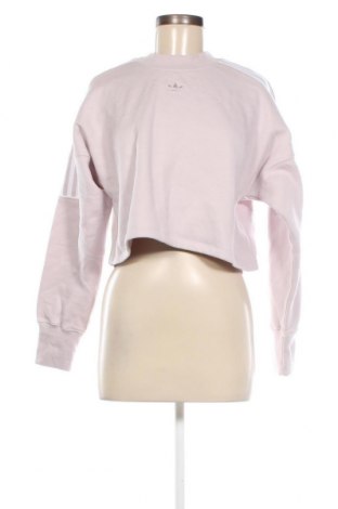 Damen Shirt Adidas Originals, Größe XXS, Farbe Lila, Preis € 53,58