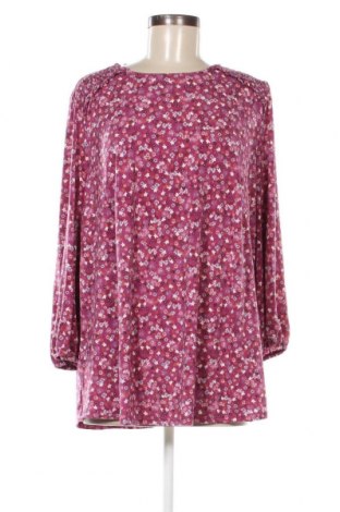 Damen Shirt Adrianna Papell, Größe XXL, Farbe Mehrfarbig, Preis € 28,39