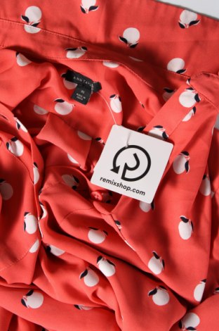 Damen Shirt Ann Taylor, Größe XS, Farbe Rot, Preis 5,01 €