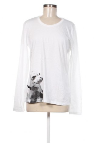 Γυναικεία μπλούζα Armani Jeans, Μέγεθος XXL, Χρώμα Λευκό, Τιμή 43,41 €
