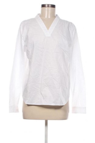 Γυναικεία μπλούζα Blue Motion, Μέγεθος M, Χρώμα Λευκό, Τιμή 5,88 €