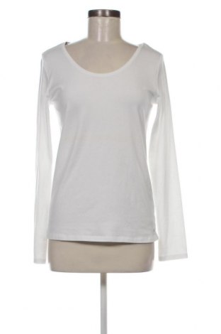 Γυναικεία μπλούζα Boviva, Μέγεθος XL, Χρώμα Λευκό, Τιμή 7,51 €