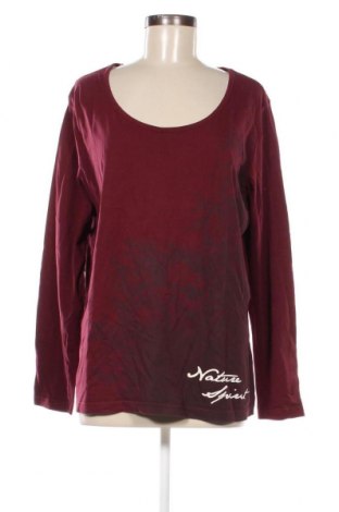 Дамска блуза Bpc Bonprix Collection, Размер XL, Цвят Лилав, Цена 5,51 лв.