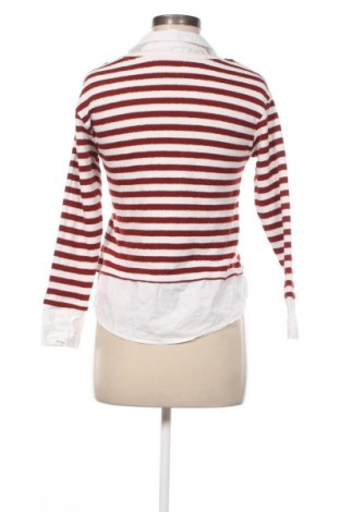 Damen Shirt Cache Cache, Größe S, Farbe Mehrfarbig, Preis € 3,89