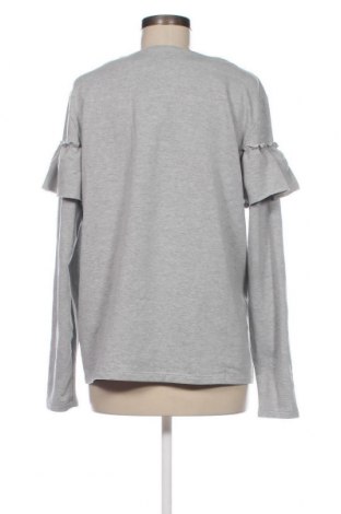 Γυναικεία μπλούζα Caddis Fly, Μέγεθος L, Χρώμα Γκρί, Τιμή 4,11 €