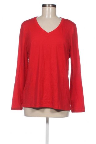 Γυναικεία μπλούζα Comma,, Μέγεθος M, Χρώμα Κόκκινο, Τιμή 17,81 €
