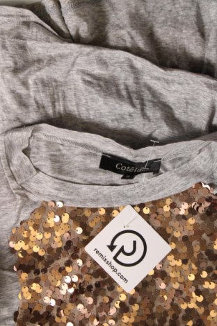 Damen Shirt Cotelac, Größe L, Farbe Grau, Preis 15,20 €