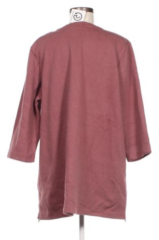 Damen Shirt D&Co, Größe XL, Farbe Lila, Preis 4,89 €