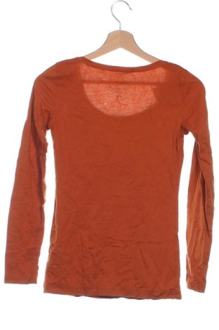 Γυναικεία μπλούζα Edc By Esprit, Μέγεθος XS, Χρώμα Καφέ, Τιμή 17,00 €