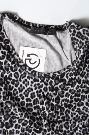 Γυναικεία μπλούζα Esisto, Μέγεθος XS, Χρώμα Πολύχρωμο, Τιμή 4,21 €
