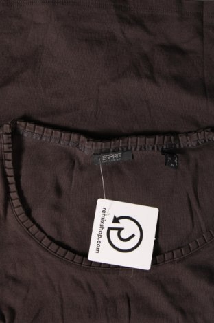 Damen Shirt Esprit, Größe XS, Farbe Braun, Preis € 10,20