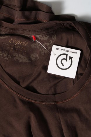 Дамска блуза Esprit, Размер XL, Цвят Кафяв, Цена 16,95 лв.