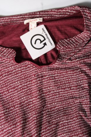 Damen Shirt Esprit, Größe L, Farbe Mehrfarbig, Preis € 4,73