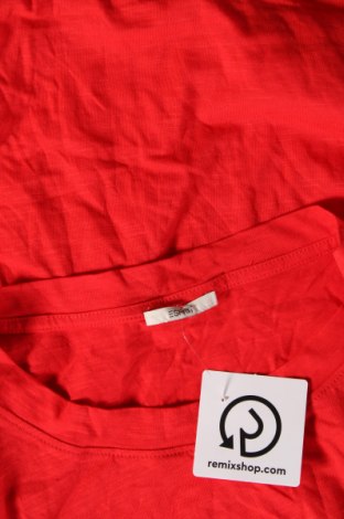 Γυναικεία μπλούζα Esprit, Μέγεθος M, Χρώμα Κόκκινο, Τιμή 4,21 €