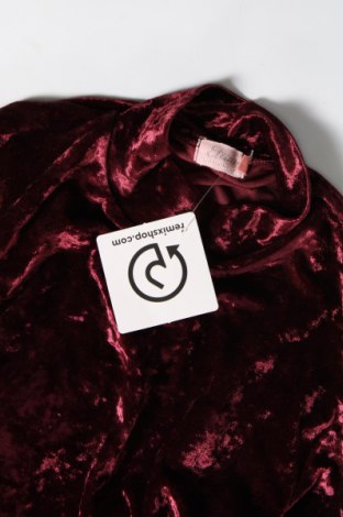 Damen Shirt Etam, Größe M, Farbe Rosa, Preis 10,20 €