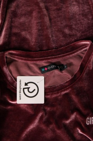 Damen Shirt Even&Odd, Größe L, Farbe Rosa, Preis € 13,71