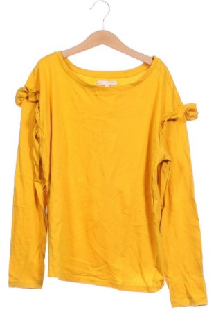 Γυναικεία μπλούζα Fisherfield, Μέγεθος XS, Χρώμα Κίτρινο, Τιμή 4,70 €