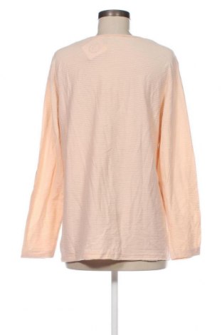 Damen Shirt Gerry Weber, Größe 3XL, Farbe Orange, Preis 13,36 €
