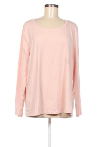 Γυναικεία μπλούζα Gina, Μέγεθος XXL, Χρώμα Ρόζ , Τιμή 18,22 €