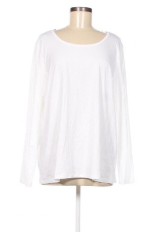 Γυναικεία μπλούζα Gina, Μέγεθος XXL, Χρώμα Λευκό, Τιμή 15,34 €