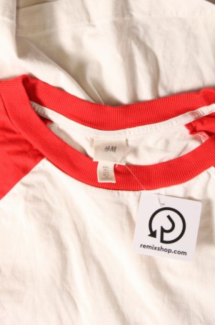 Damen Shirt H&M, Größe L, Farbe Ecru, Preis € 8,15