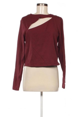 Γυναικεία μπλούζα Hollister, Μέγεθος XL, Χρώμα Κόκκινο, Τιμή 4,84 €