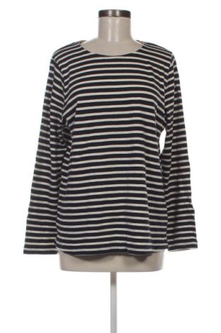 Γυναικεία μπλούζα Holly & Whyte By Lindex, Μέγεθος XL, Χρώμα Μπλέ, Τιμή 4,70 €