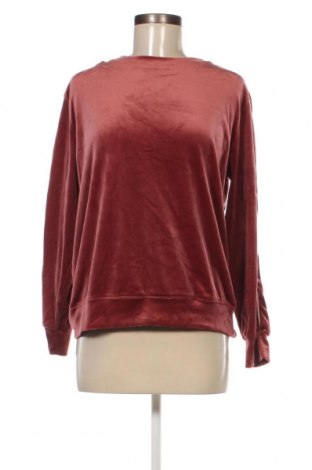 Damen Shirt Hunkemoller, Größe S, Farbe Rosa, Preis € 3,55