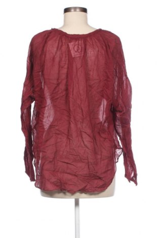 Damen Shirt Hunkydory, Größe XS, Farbe Rot, Preis 13,36 €