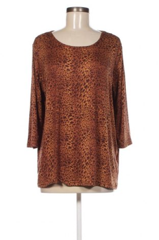Γυναικεία μπλούζα Janina, Μέγεθος XL, Χρώμα Καφέ, Τιμή 4,60 €