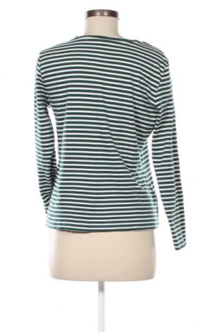 Γυναικεία μπλούζα Kate Storm, Μέγεθος M, Χρώμα Πολύχρωμο, Τιμή 4,21 €
