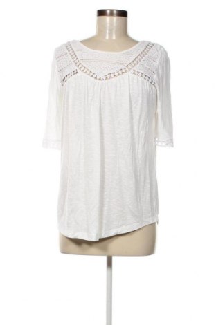 Damen Shirt Linea Tesini, Größe XS, Farbe Weiß, Preis 10,20 €