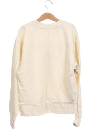 Γυναικεία μπλούζα Mango, Μέγεθος XS, Χρώμα Εκρού, Τιμή 13,81 €